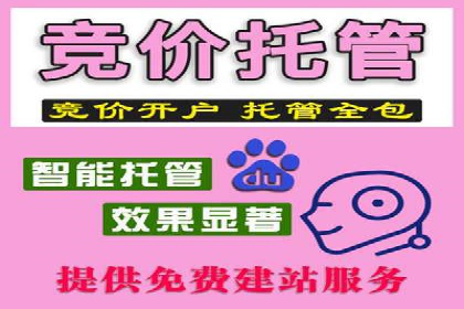 搜索引擎营销（SEM）公司某某的客户成功故事